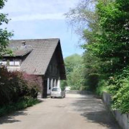Ferienwohnungen Seeblick Unterkirnach Εξωτερικό φωτογραφία