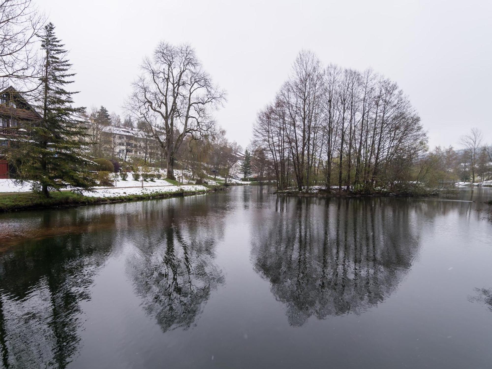 Ferienwohnungen Seeblick Unterkirnach Εξωτερικό φωτογραφία